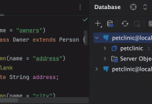 使用数据库工具进行高效数据查询的 10 大 IntelliJ IDEA 快捷方式-小狮博客