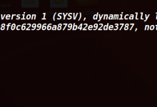 PWN手的成长之路-19-int_overflow-小狮博客