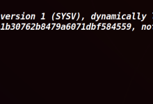 PWN手的成长之路-20-cgpwn2-小狮博客