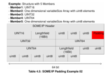 [车载以太网] SOME/IP 参数和数据结构的序列化-小狮博客