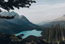 让 AI 记住我家狗叫「十六」，原来只需要 5 分钟-小狮博客