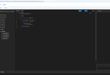 基于.net6的一款开源的低代码、权限、工作流、动态接口平台-动态接口篇-小狮博客