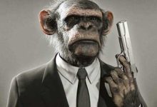 程序员职业生涯中的三大错误习惯，你占了几条?-小狮博客