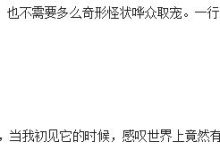 初见这行代码的时候,感叹世界上竟然有如此厉害的存在!-小狮博客
