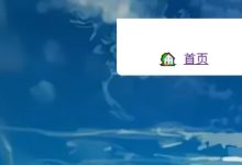 Antd 在 Next.js 项目中，初次渲染样式丢失-小狮博客
