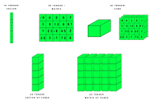 Torch核心数据结构Tensor(张量)-小狮博客