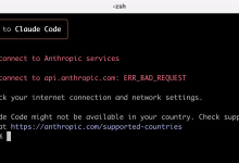 女友怒骂国内不能用Claude Code，于是我给她做了一个-小狮博客