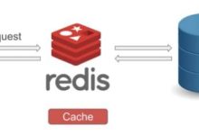 Redis缓存：加速应用程序的性能和可扩展性-小狮博客