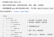 Skill基础介绍-小狮博客